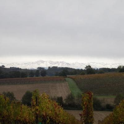 DSCN0157