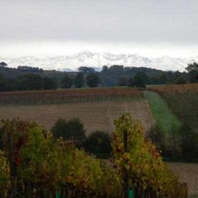 DSCN0160