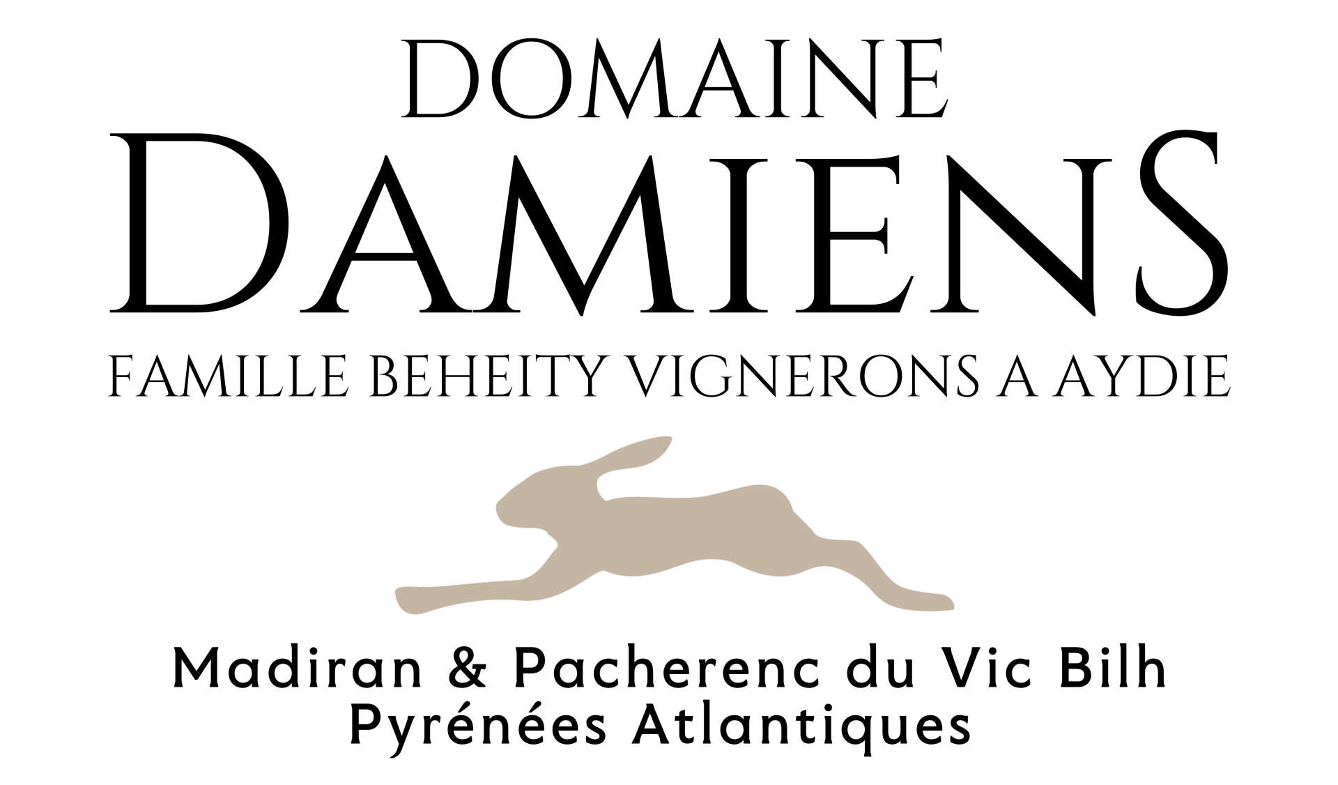 Dd logo 4261 x 3000 px