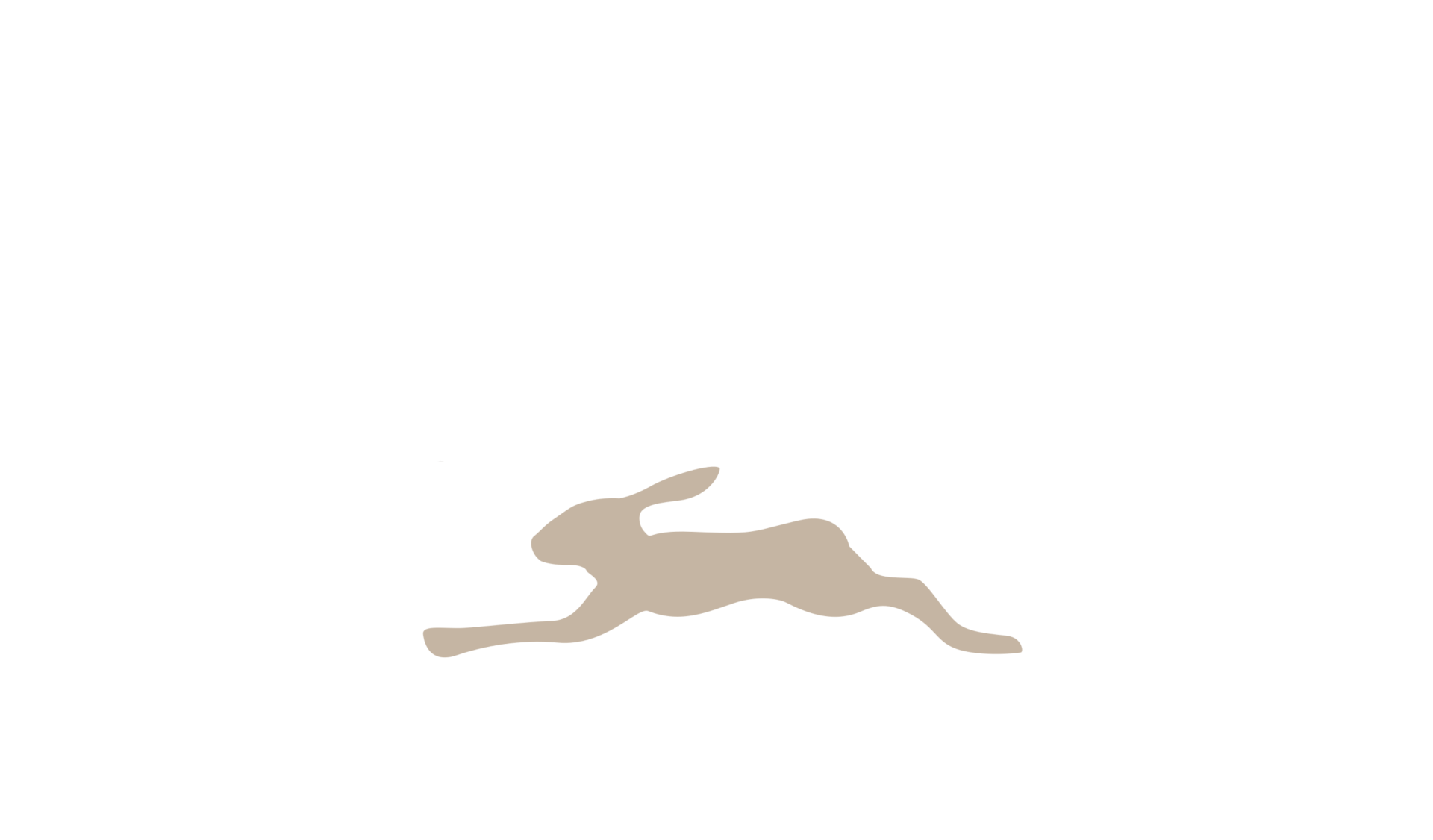 Dd logo 4261 x 3000 px 2